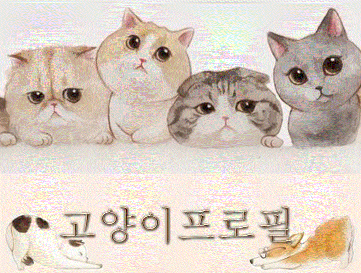 캡처2.GIF