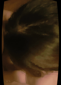 살구.gif