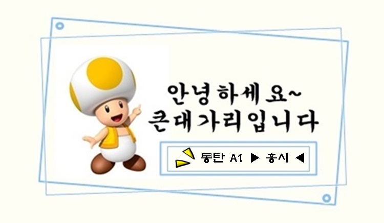 홍시1.jpg