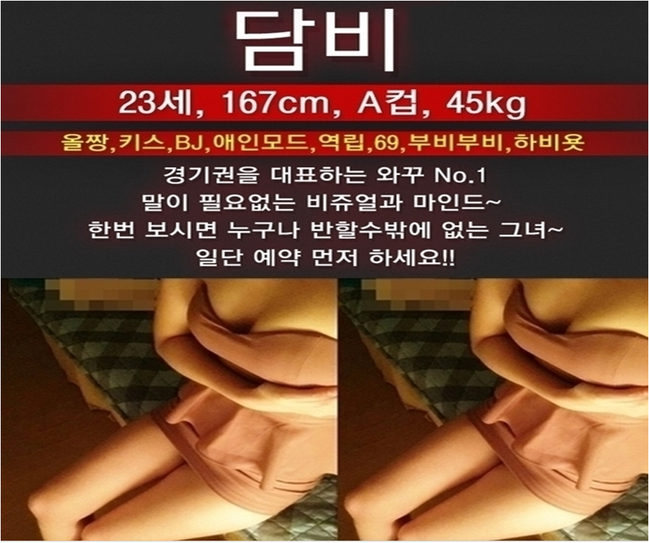 담비 플사.png