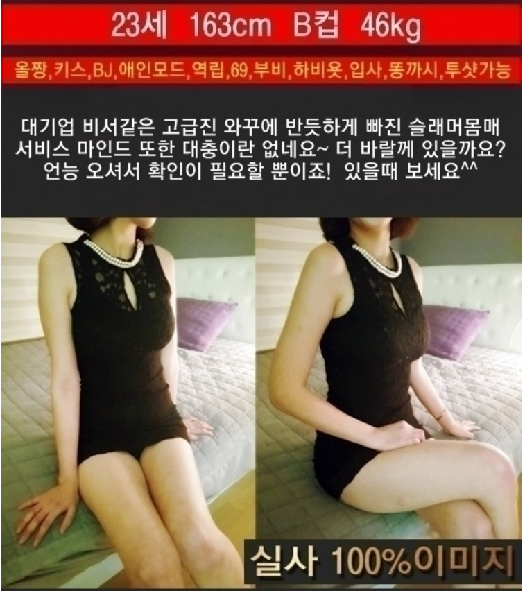 초아.png