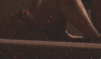 6.gif