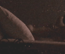 5.gif