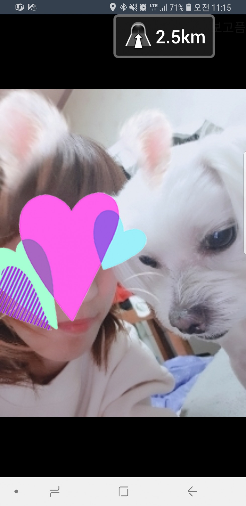20190225_114556.jpg