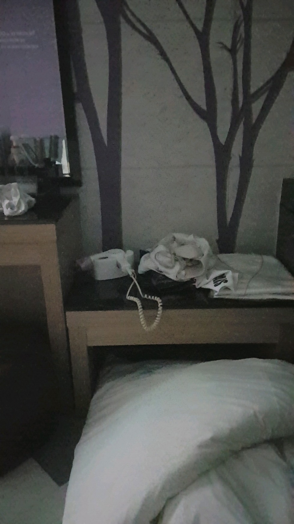 20190627_195322_684.jpg