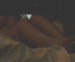4.gif