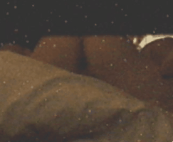 6.gif
