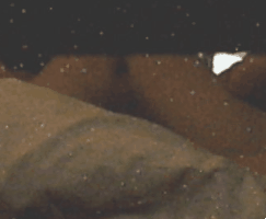5.gif