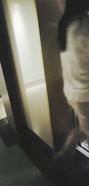 IMG_20180821_130152655_1.gif