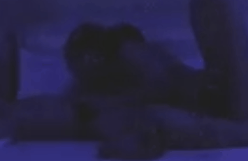 AC_[20181203-003413].gif