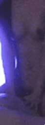 AC_[20181026-203958].gif