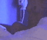 AC_[20181026-204616].gif