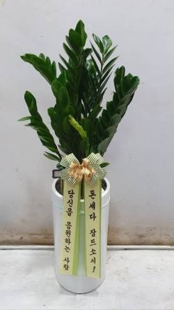 KakaoTalk_20231204_100018558.jpg