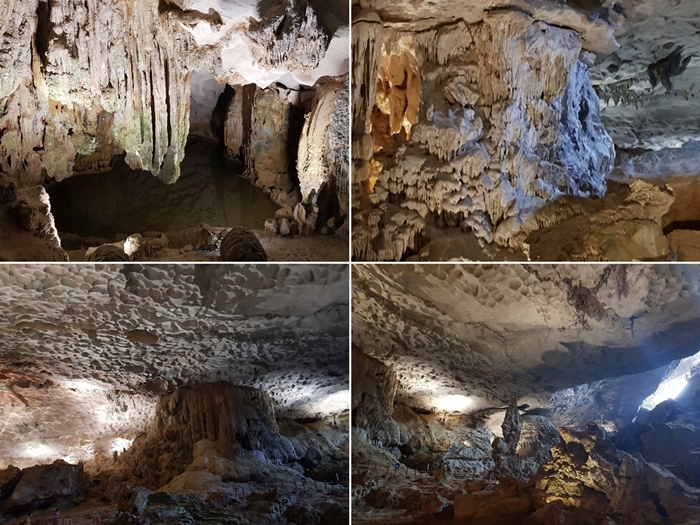 20191126_132348-tile.jpg