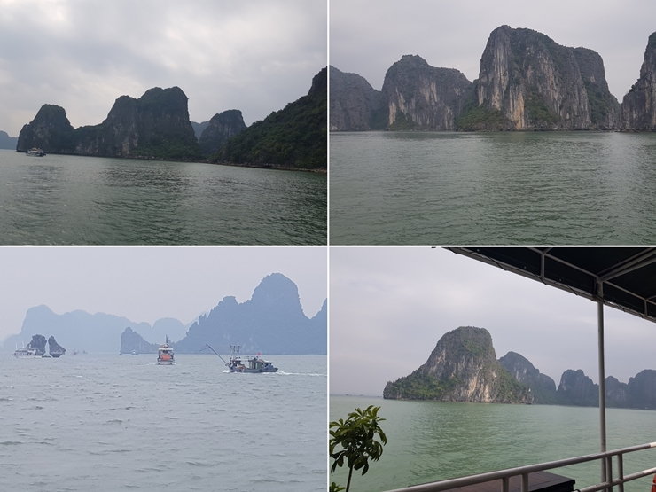 20191126_122854-tile.jpg