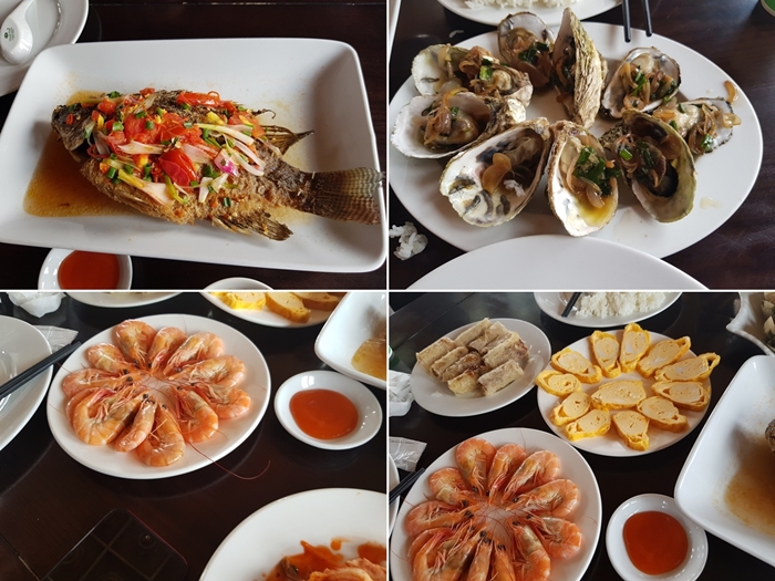 20191126_120756-tile.jpg