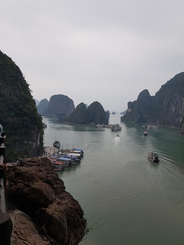 20191126_134618.jpg