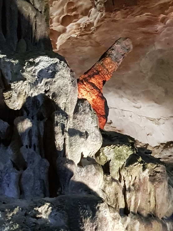 20191126_133130.jpg