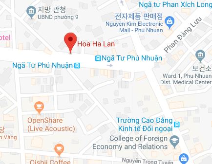 hoa ha lan.JPG