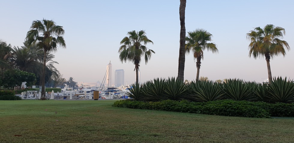 20181005_070442.jpg