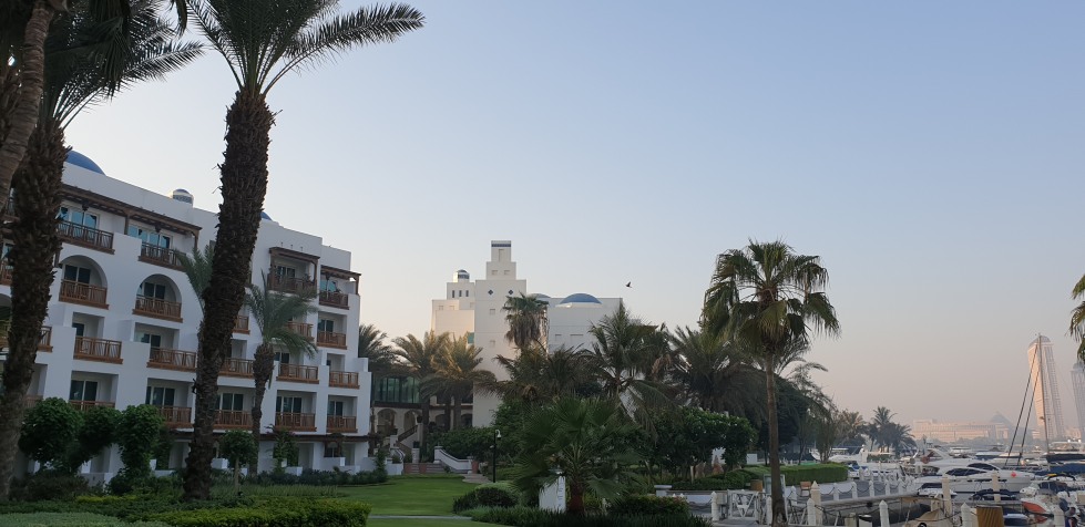 20181005_070507.jpg
