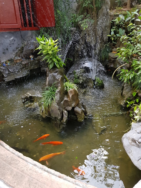 20191125_141243.jpg