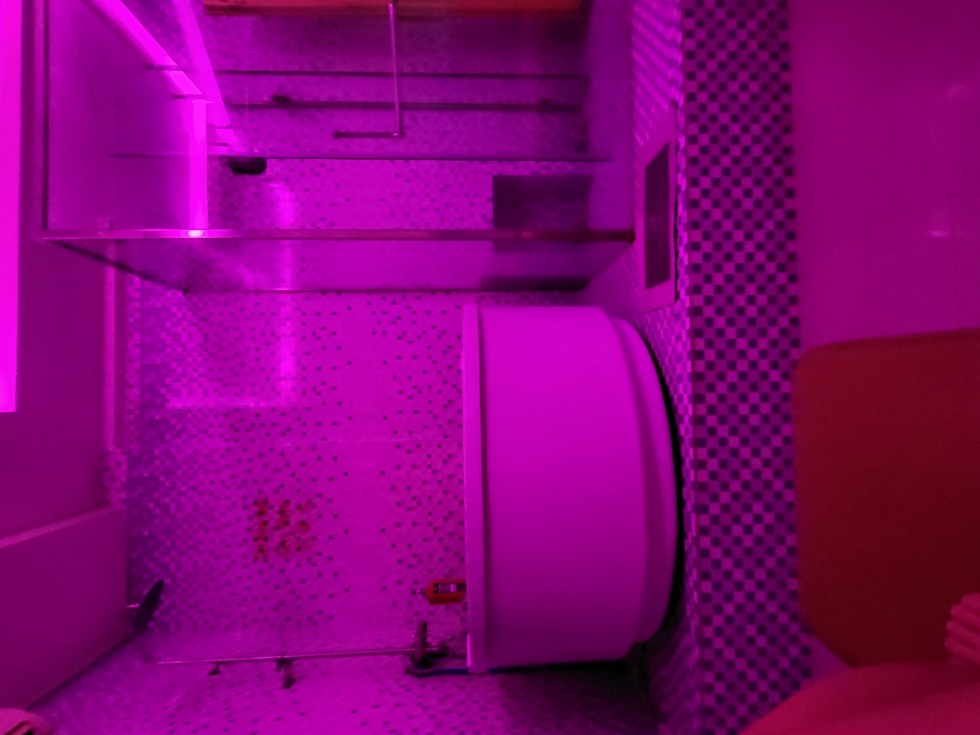 20250916_214155.jpg