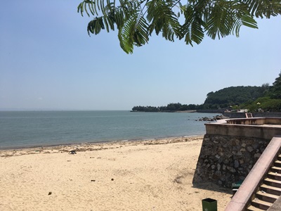 66.JPG