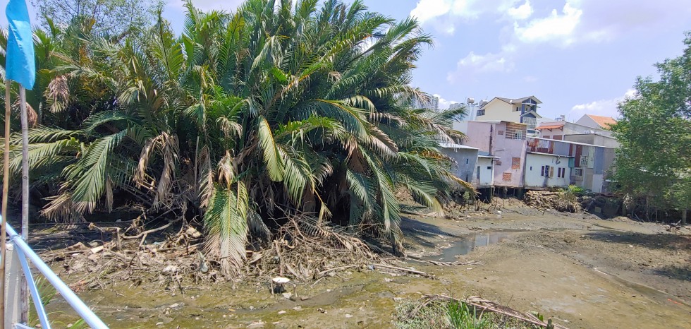 20190505_110516_HDR.jpg