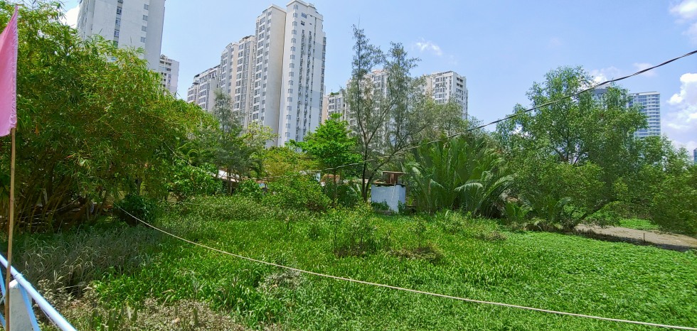20190505_110512.jpg
