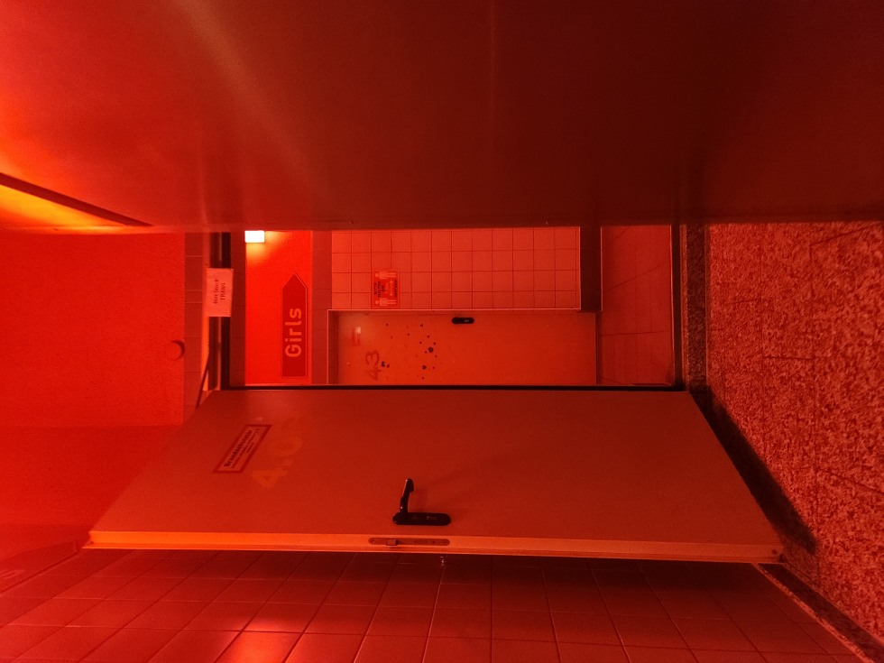 20221113_161016.jpg