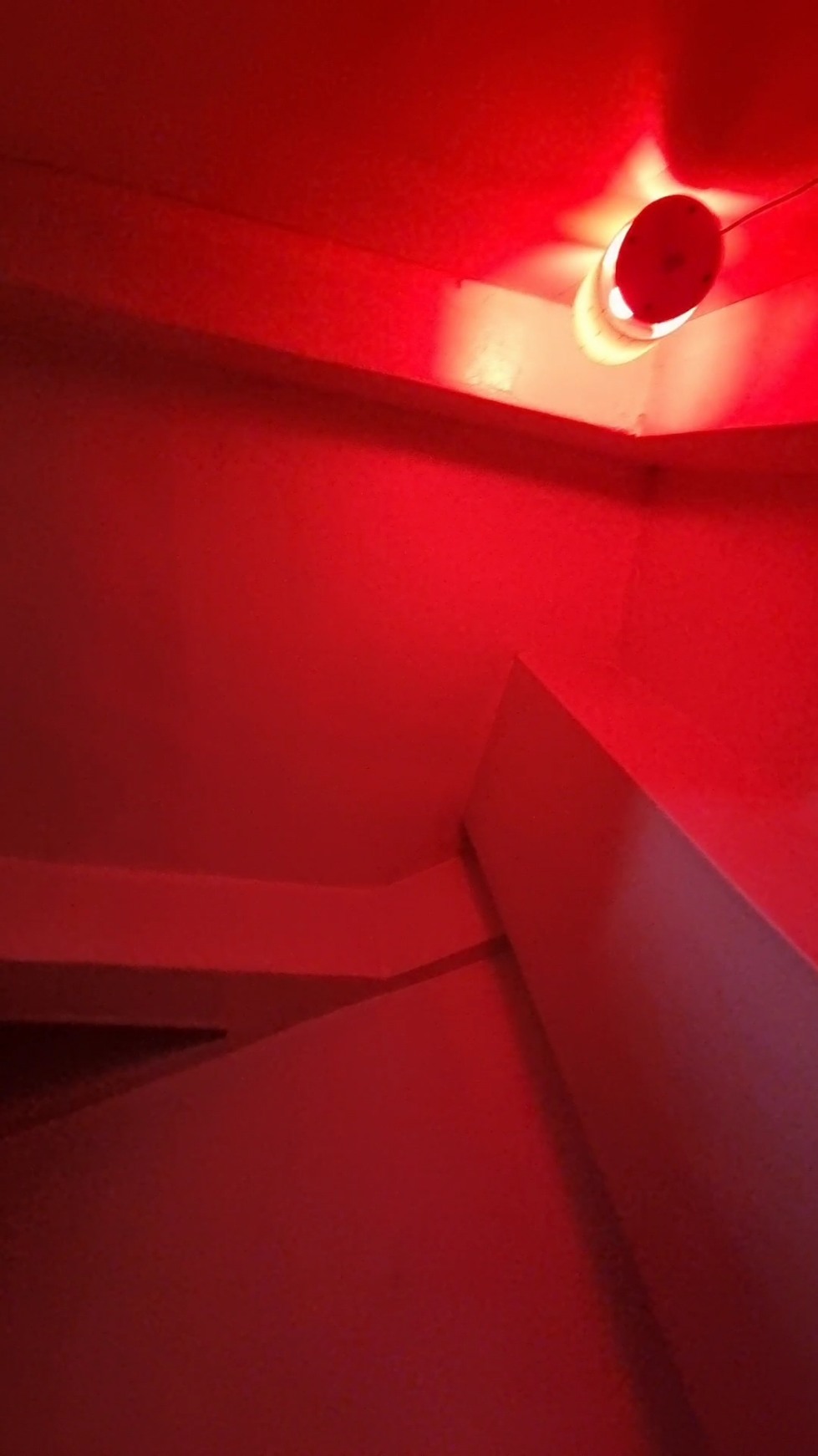VideoCapture_20211104-142554.jpg