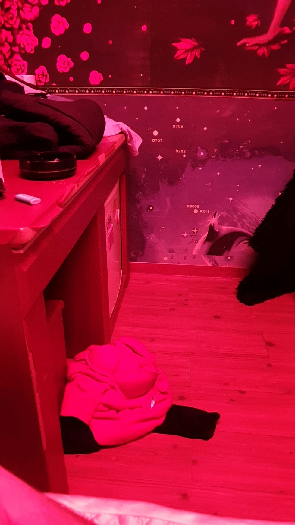 20191228_163544_464.jpg
