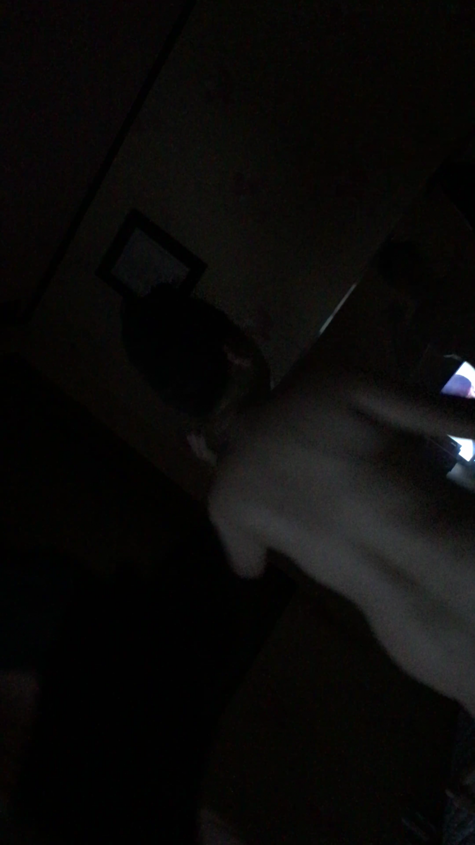 IMG_1388.MOV_000288059.png