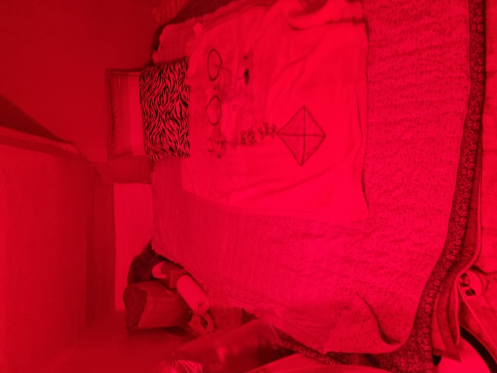 20250626_125748.jpg