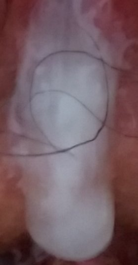 20191018_111242.jpg