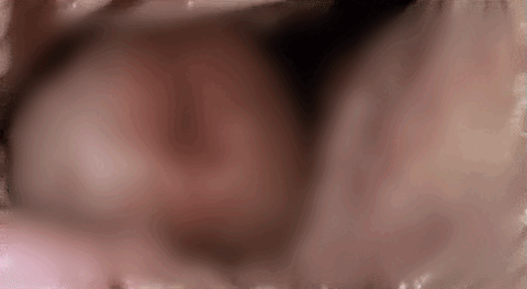 싼다!!!!!.gif