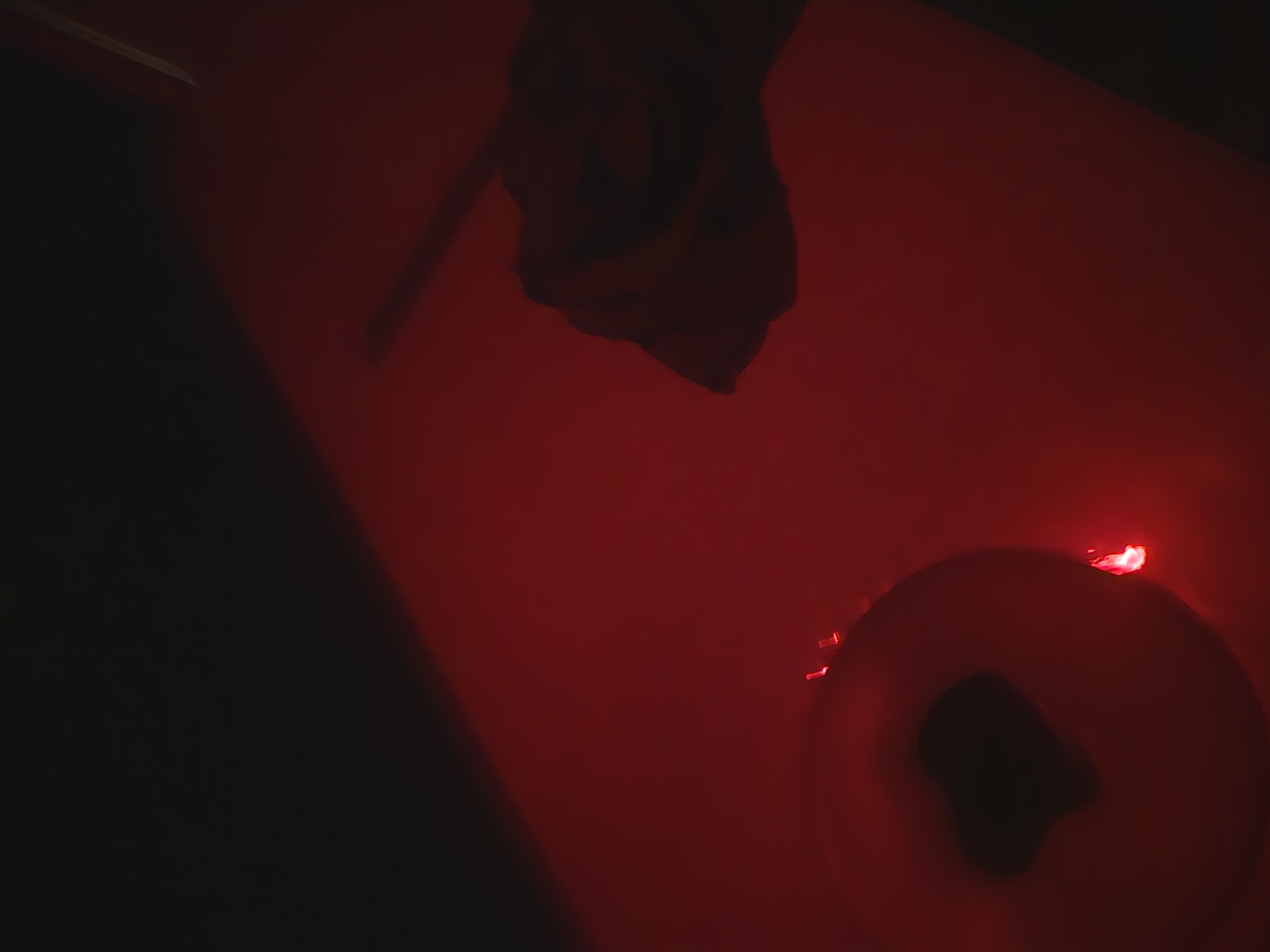 20260213_163932.jpg