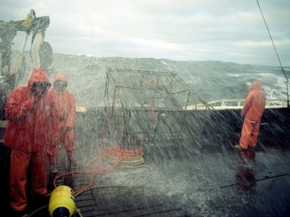 faas7777kingcrab09.jpg