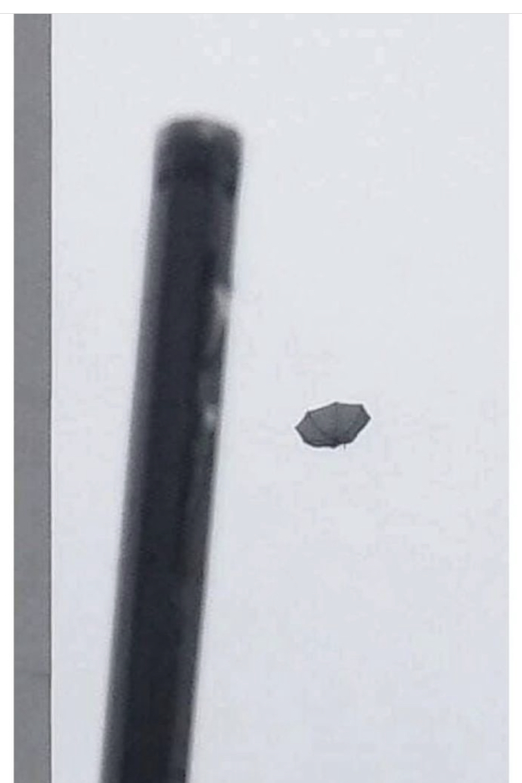 A97E1CE5-2D4F-4501-B7E3-E541B21E6054.jpeg