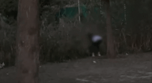 0845.gif