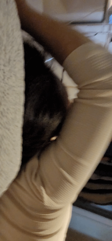 20210810_130120_1.gif