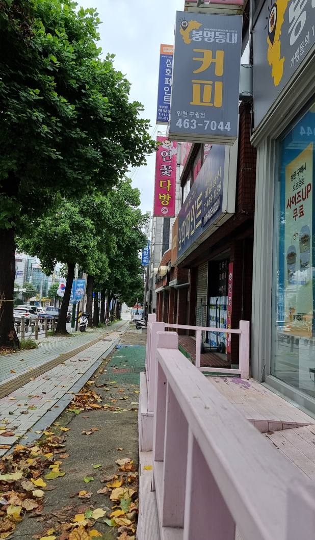 연꽃.jpg