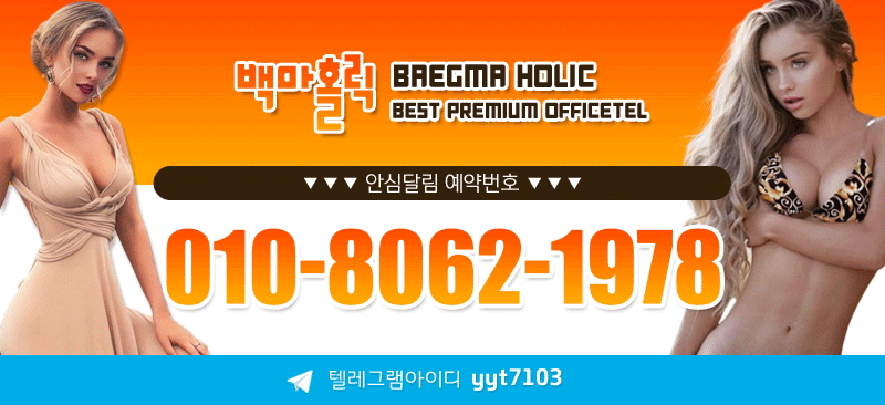 홀릭전화번호.gif