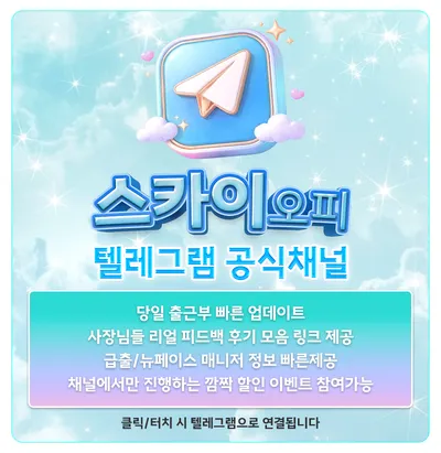 스카이오피