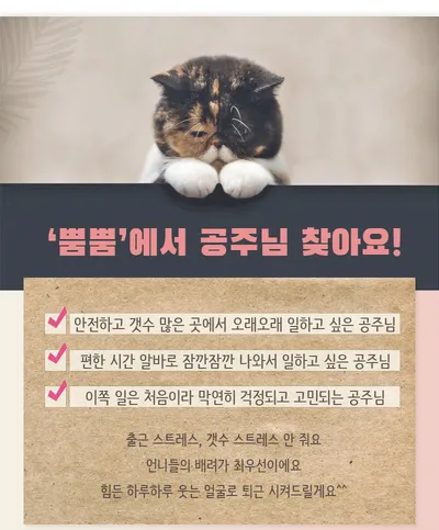 강남 페페