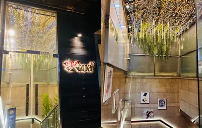 노아퍼블릭